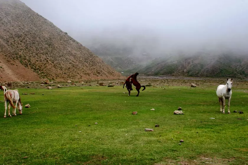 مناظر ایران